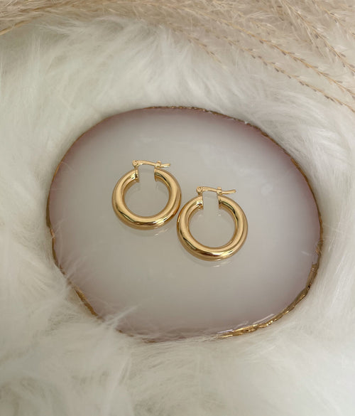 Charles Hoops